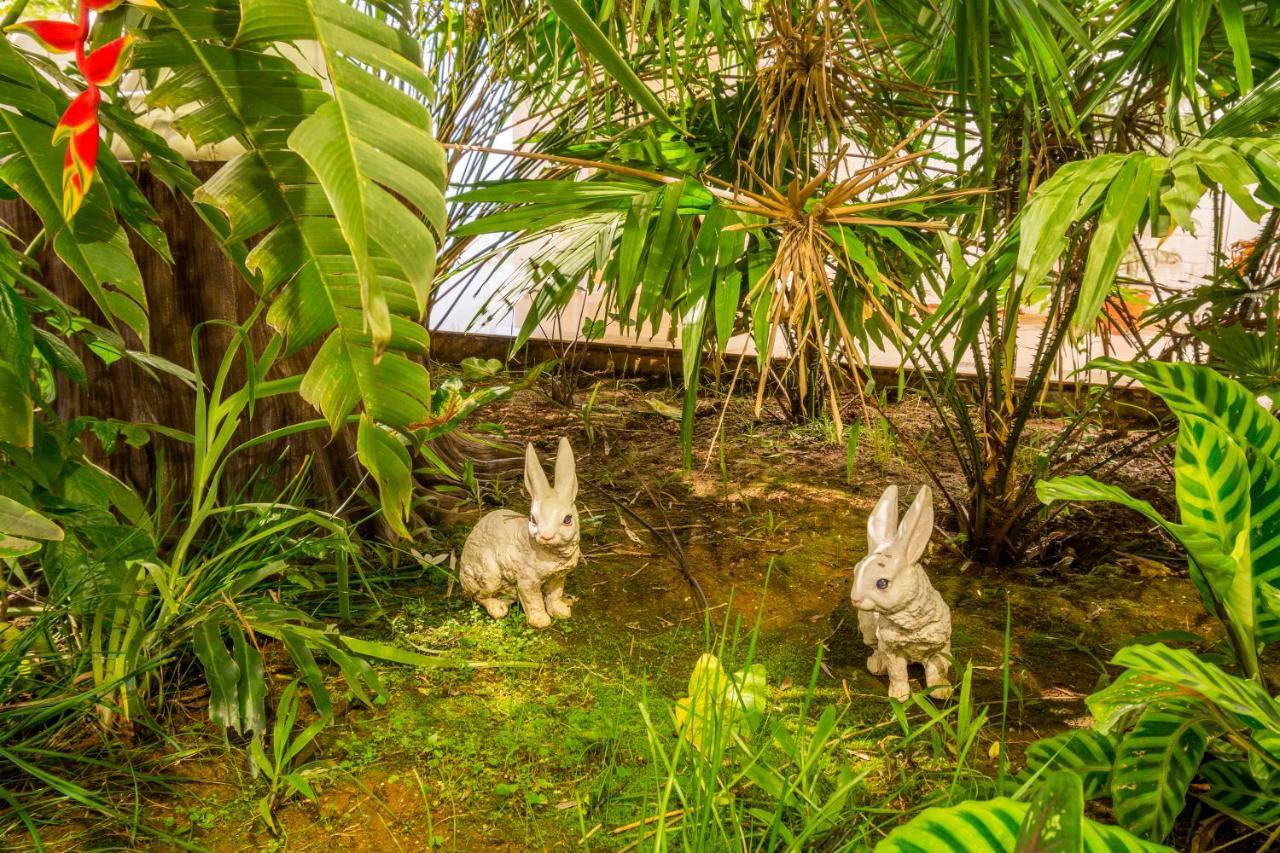 Casa Holiday Resorts Araku Luaran gambar